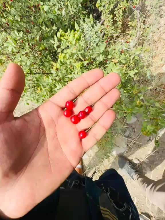 @NOمAN🧿