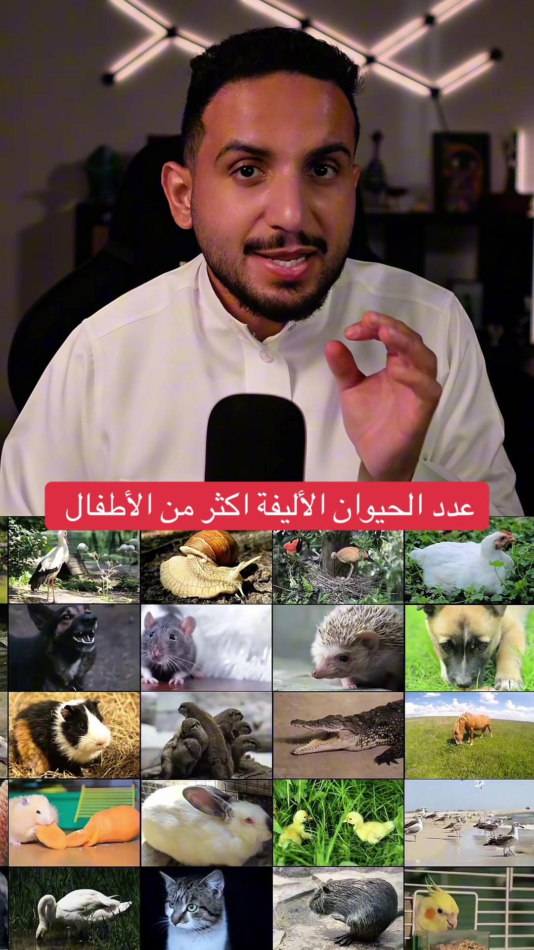 @عبدالاله_BS