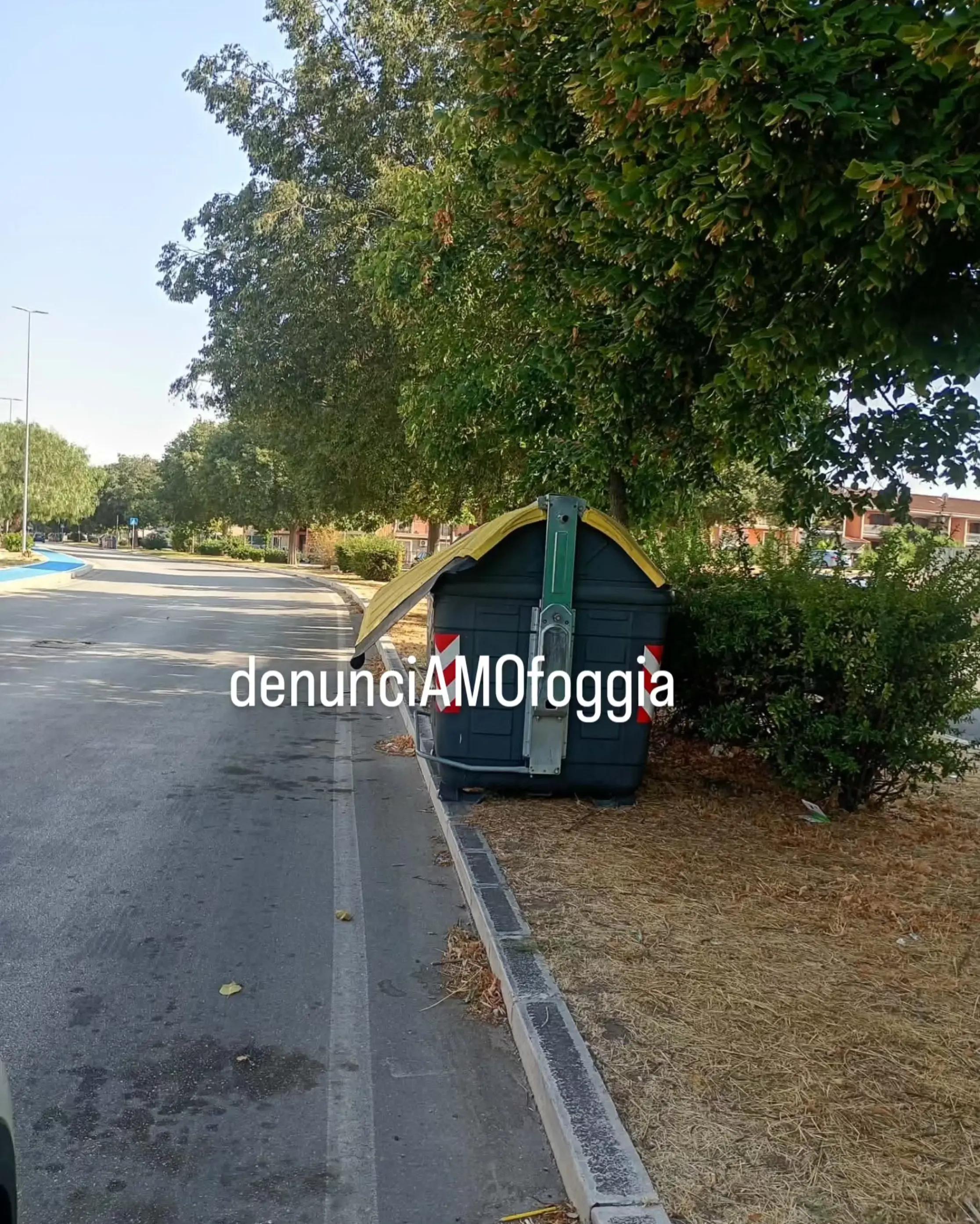 @denunciAMOfoggia