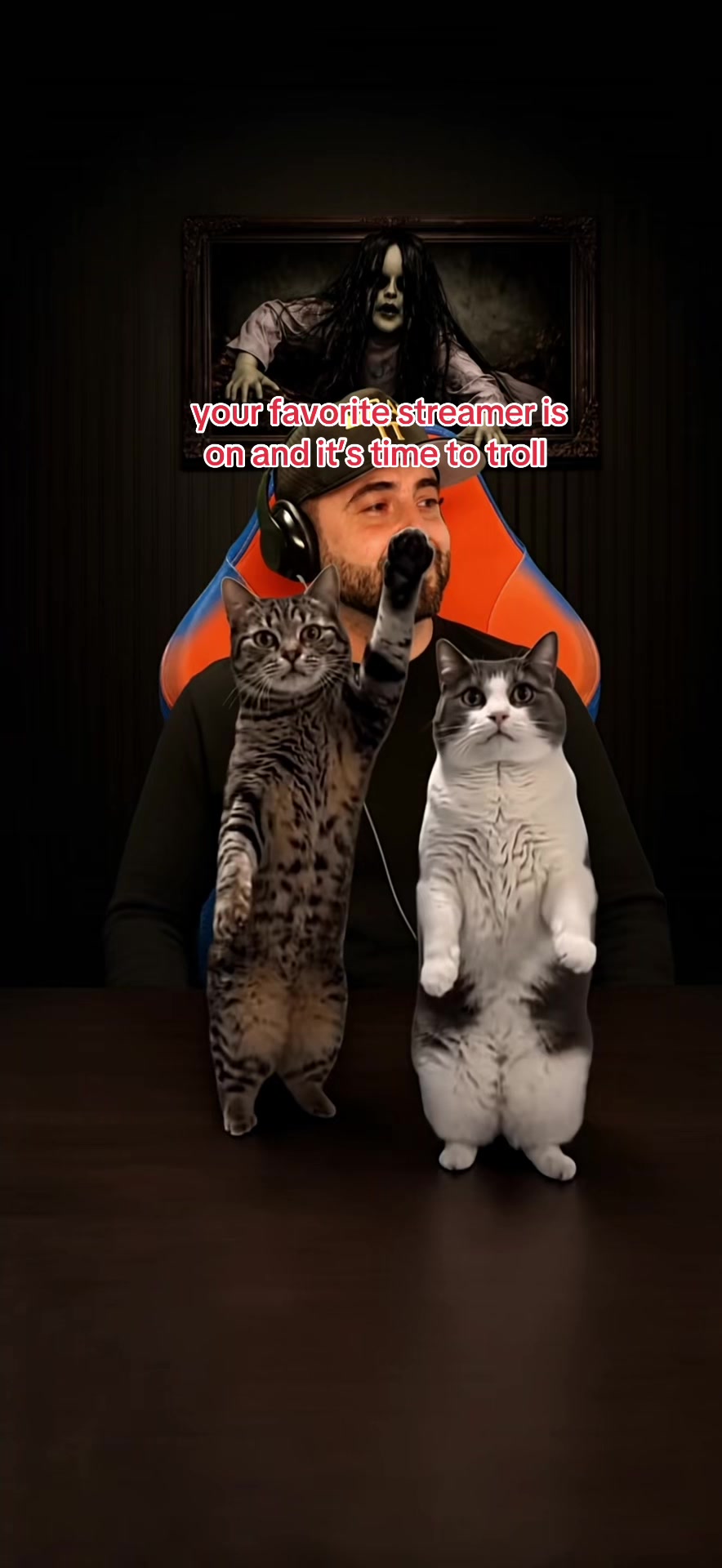 @🐧 ..