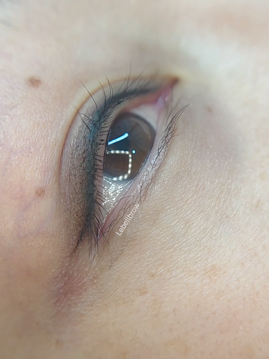@Lebellbrow Studio