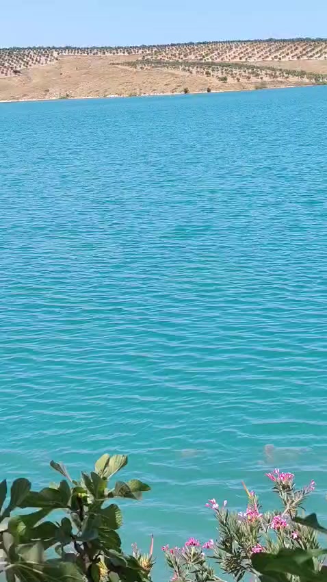 @&Ccedil;amlık vitamin