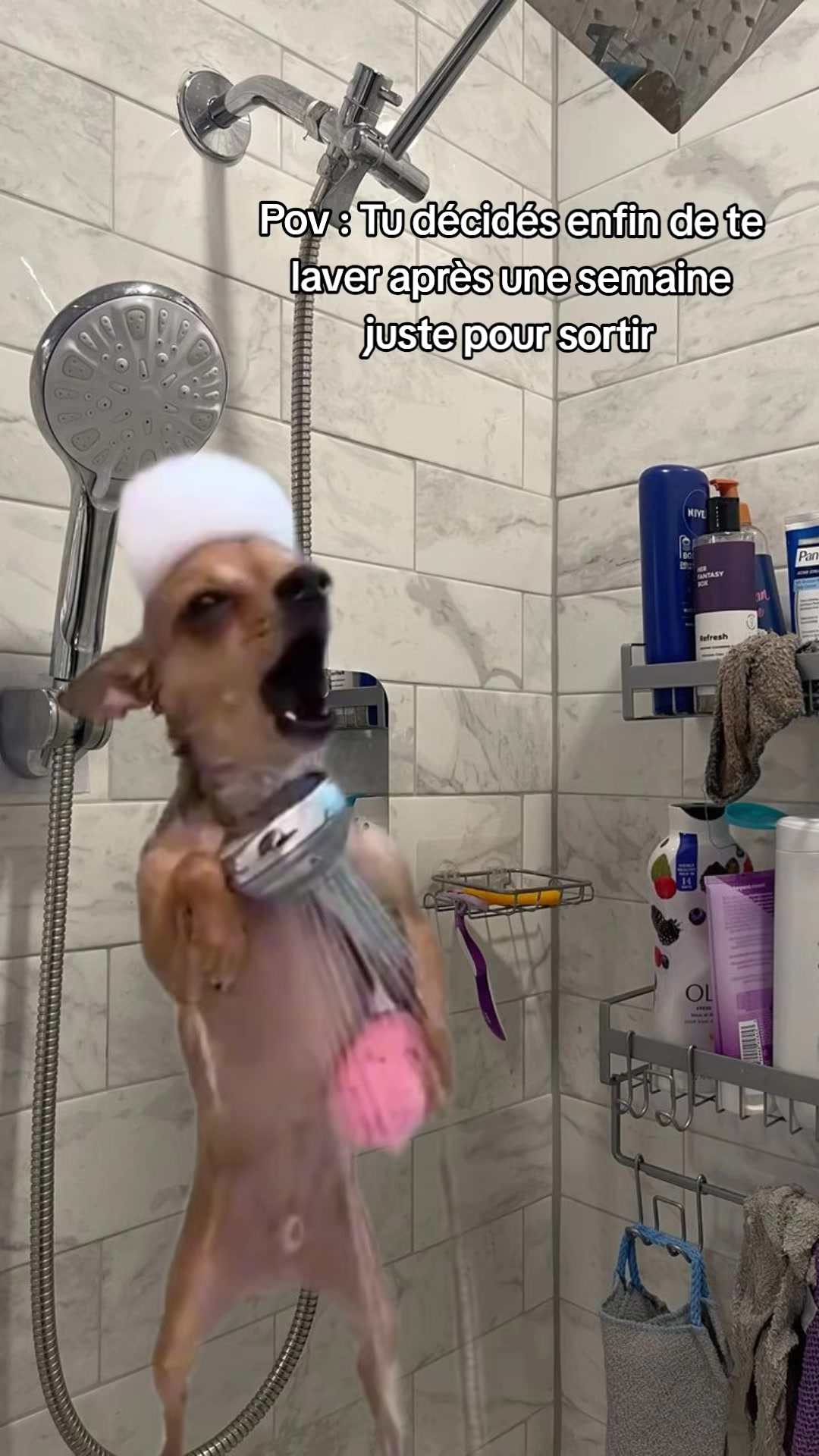 @𝕚𝕟𝕒𝕪𝕒_ 🤍