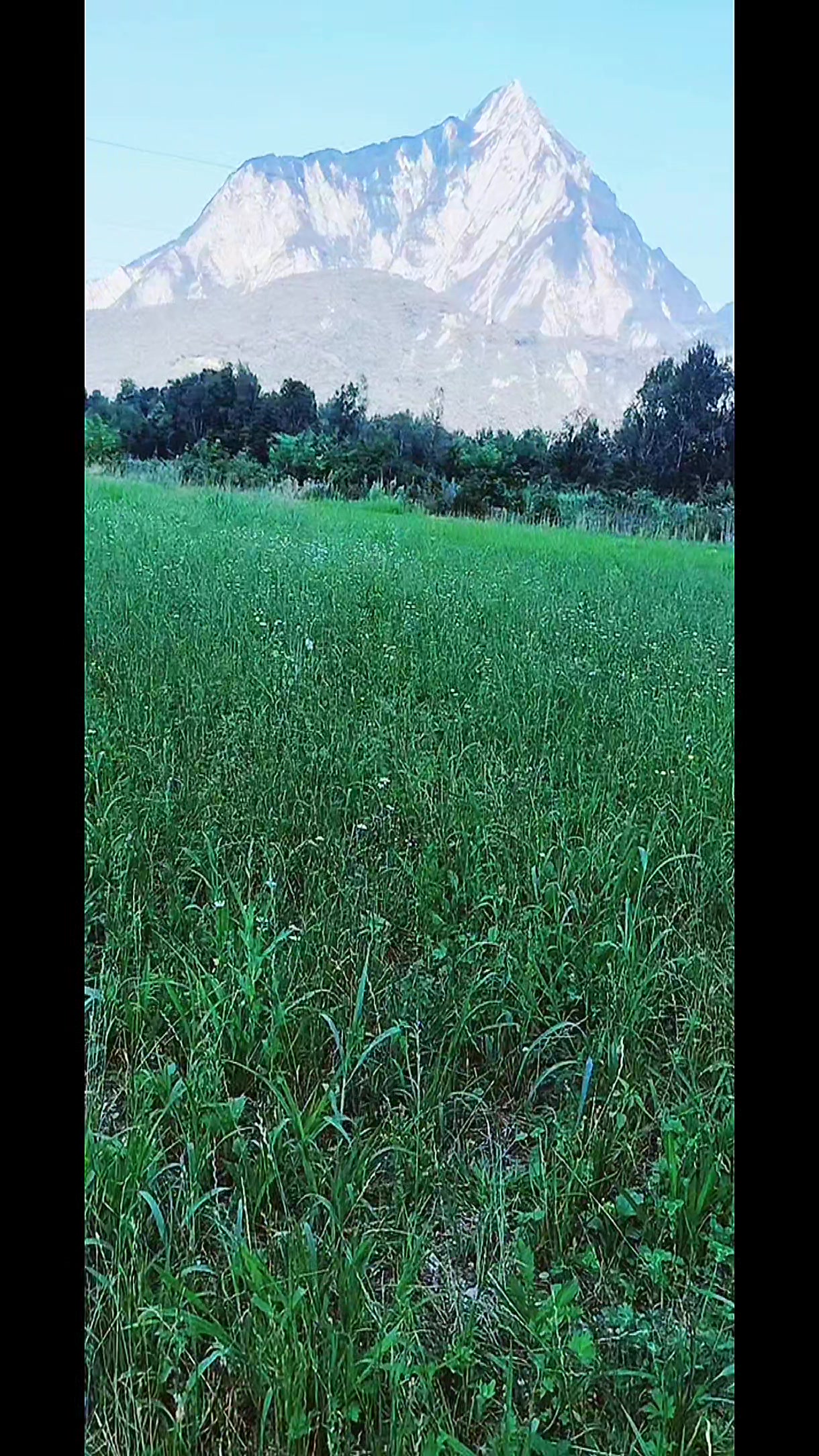 @khandokar12345