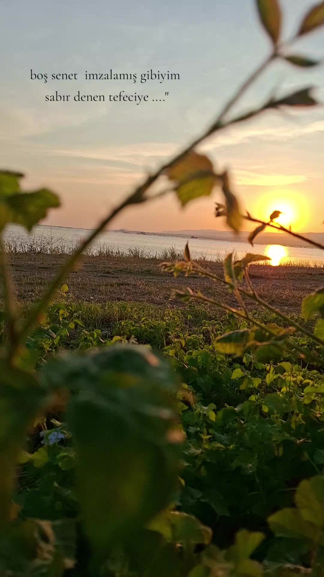 @T_K 41_58 🦞