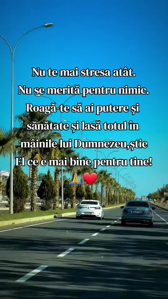@Mihaela Cristina747