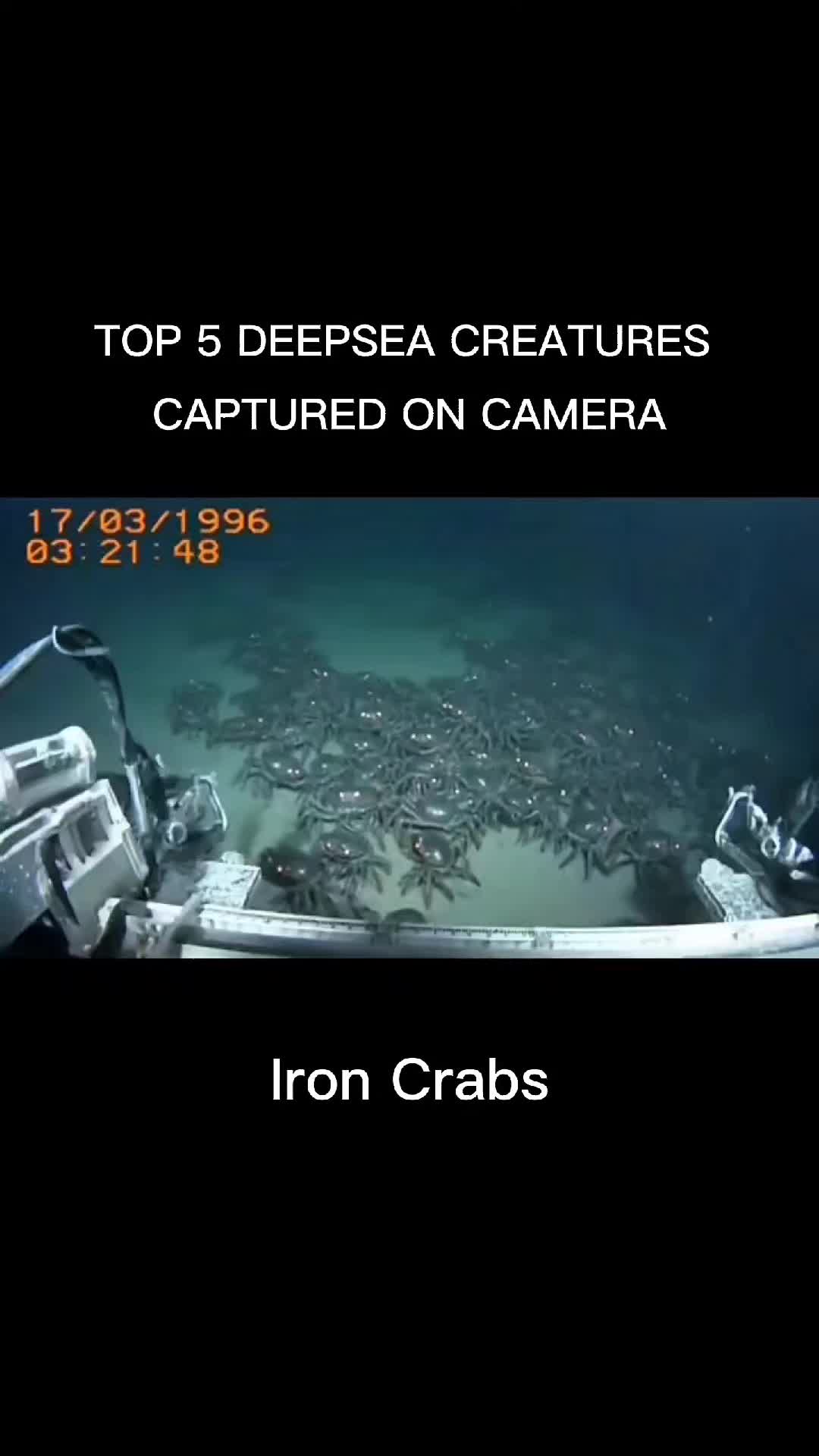 @DeepFearX