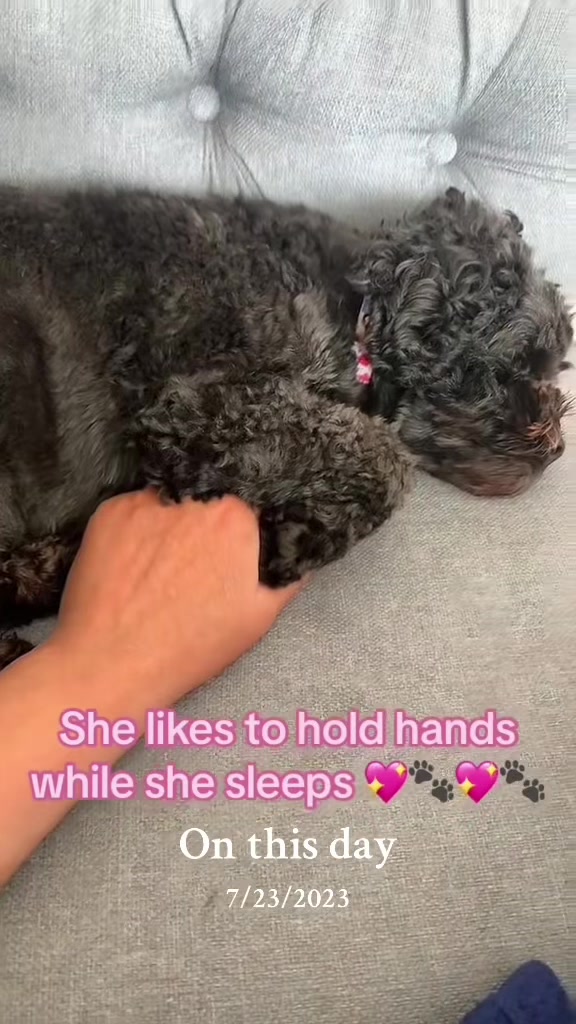 @julescavpenny💜