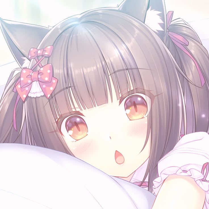 @₊˚꒰🐹꒱‧ 花子 ‧₊ ᵎᵎ 🌸
