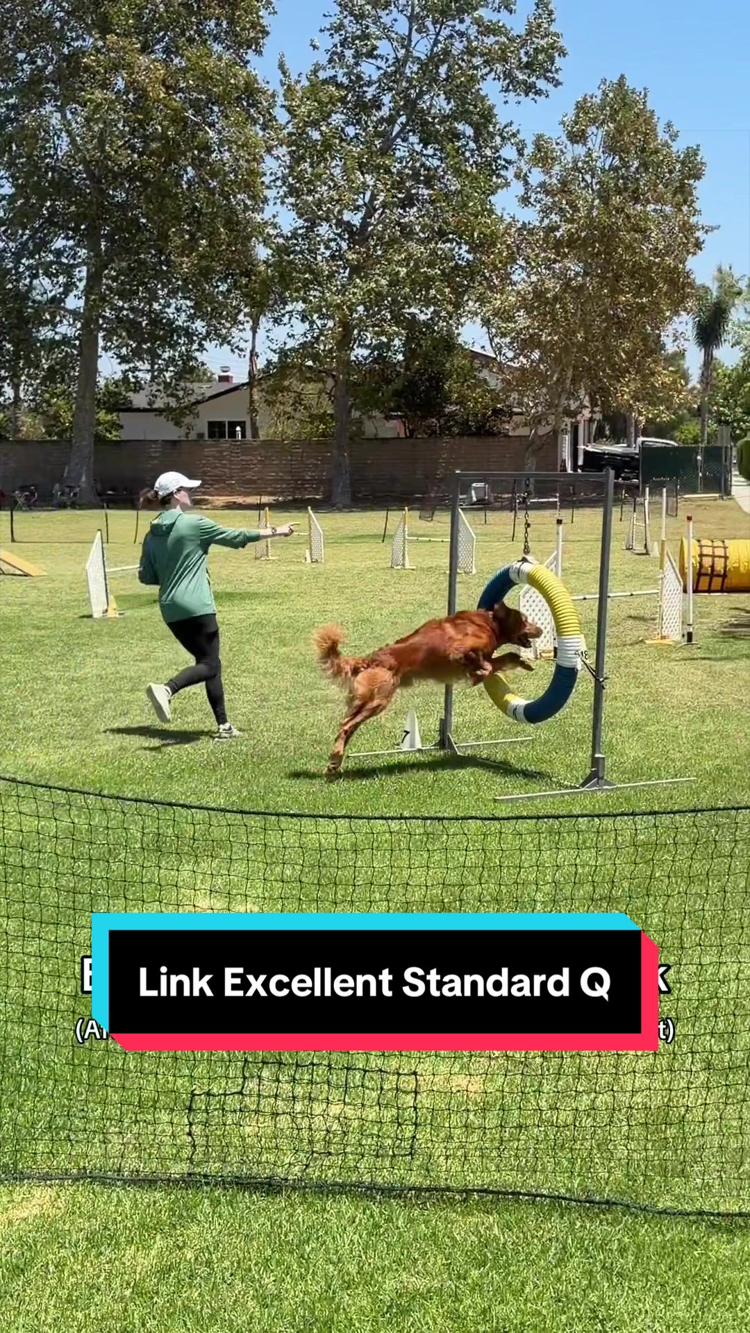 @goldenretrieevee