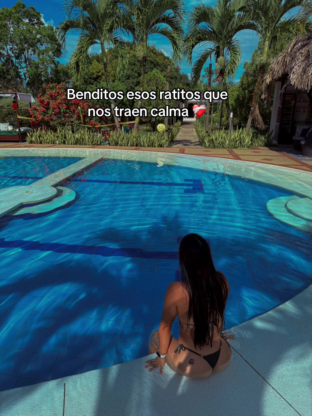 @fer🦋