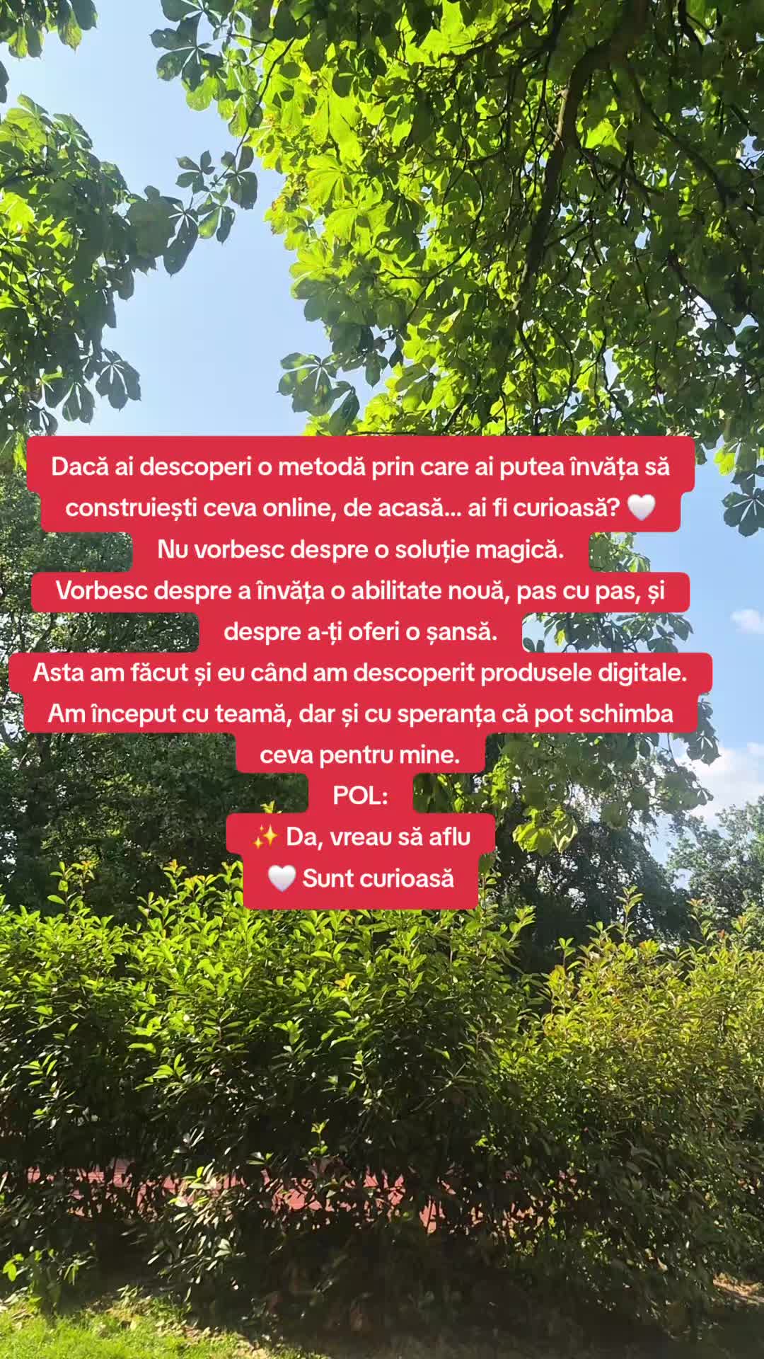 @irina chiricuta