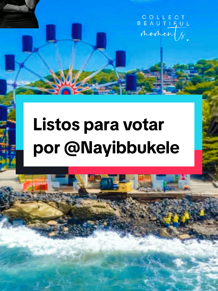 @salvilandia