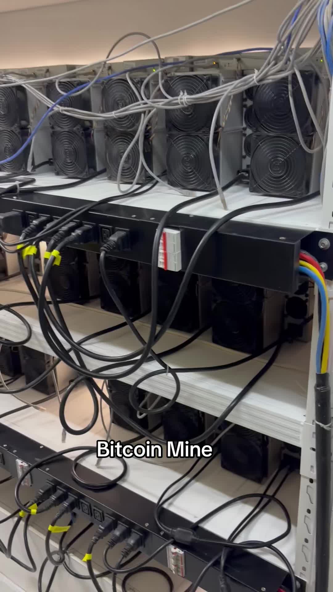 @Bitcoin Capitalist&ensp;✈️
