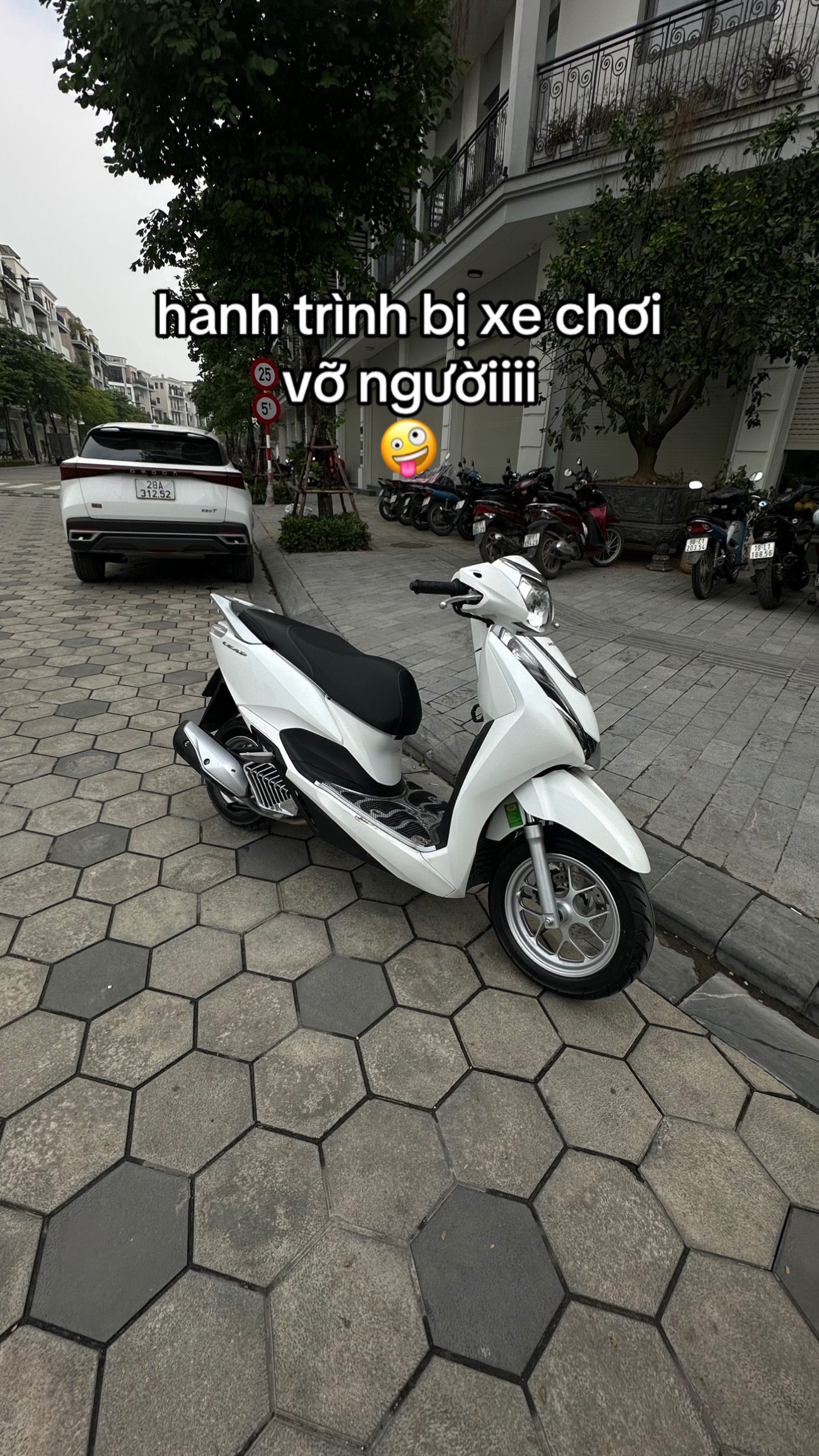 @bau