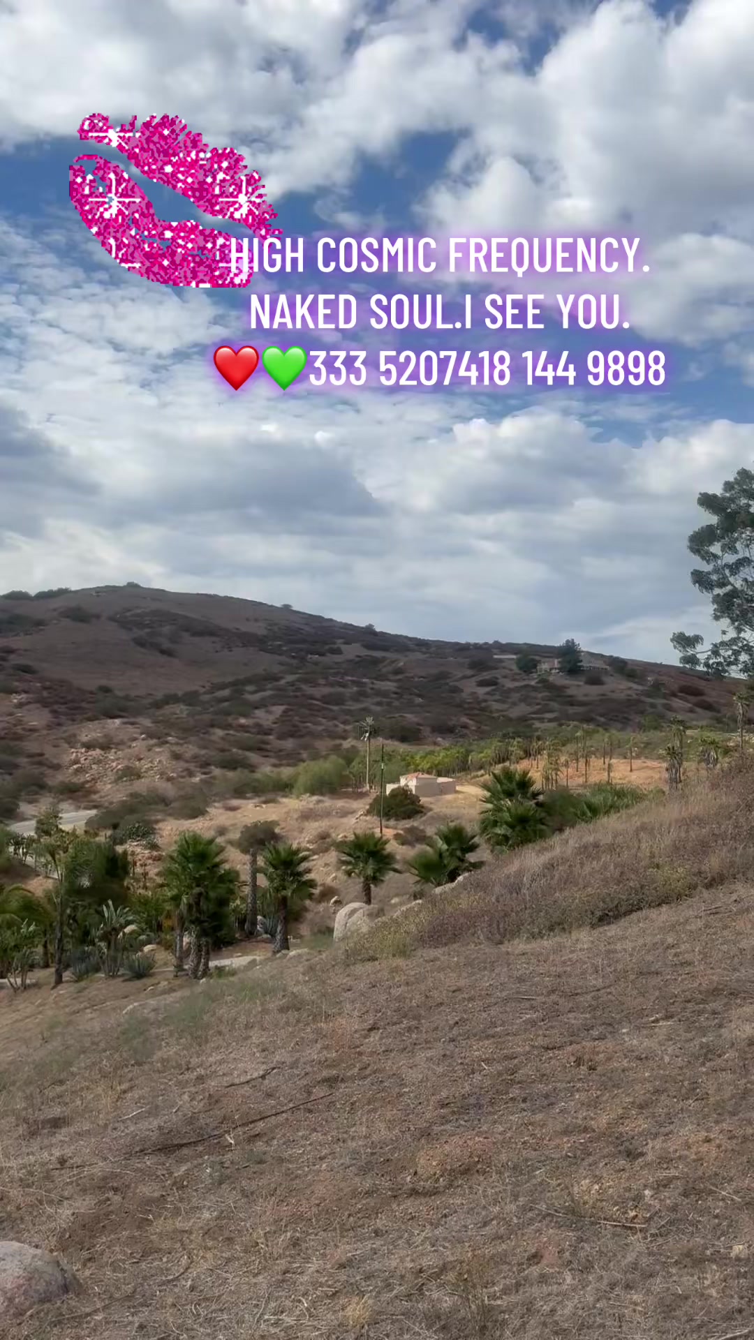 @carlathereikimaster_
