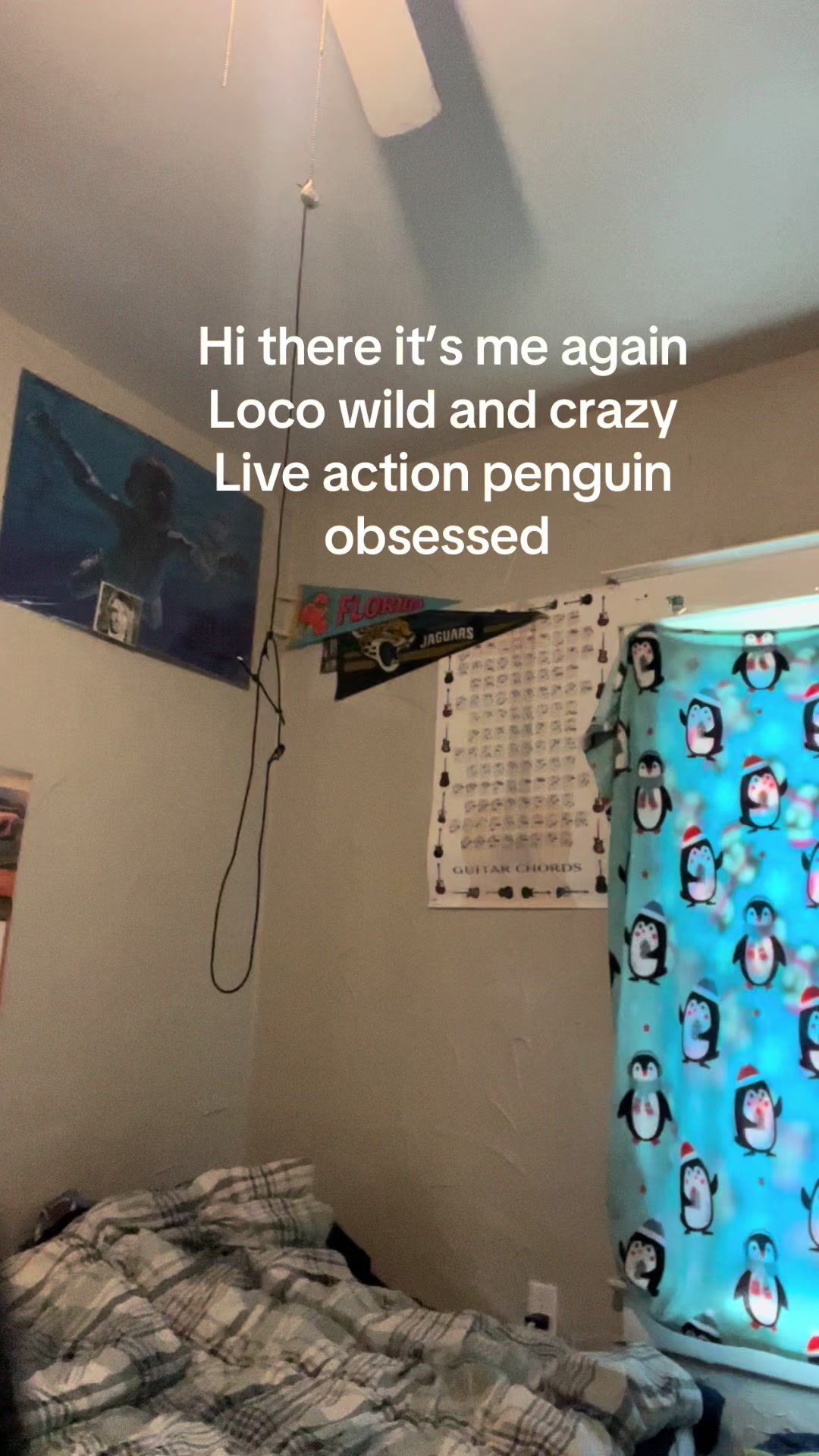 @kevinelseg