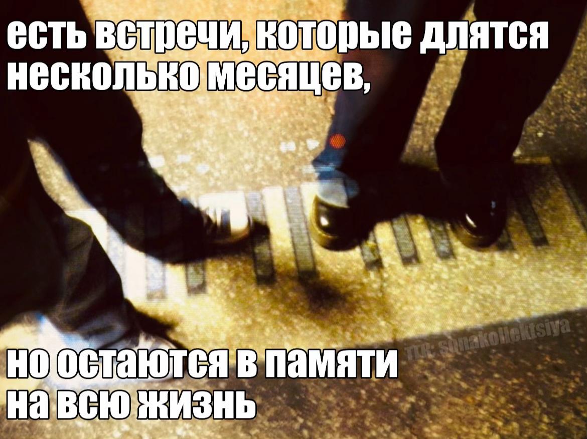 @коллекционер щп