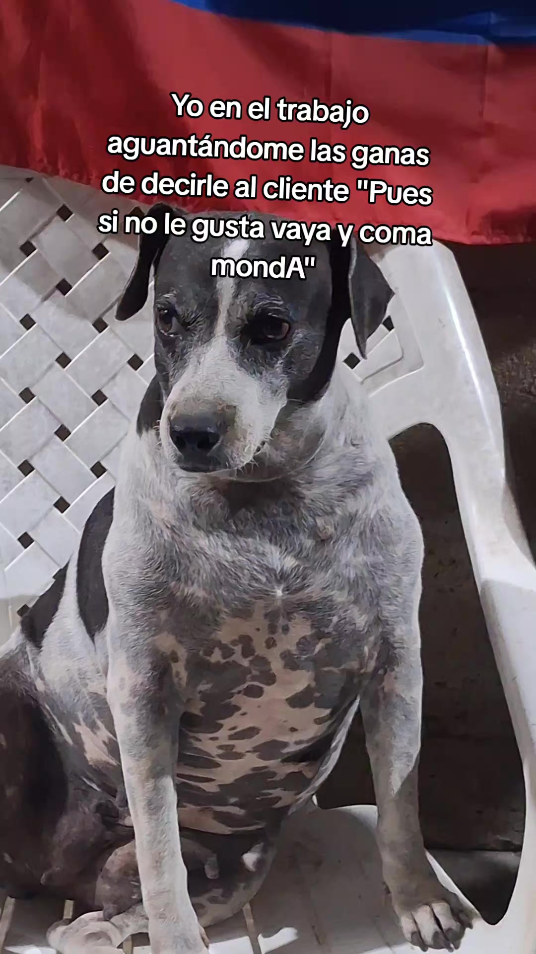 @MANCHAS 0714 OFICIAL