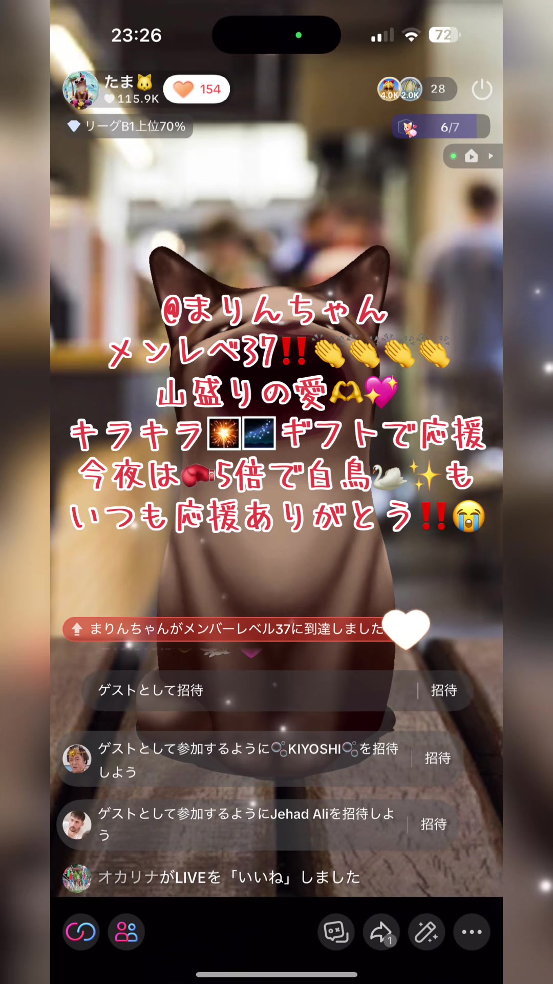 @たま🐱