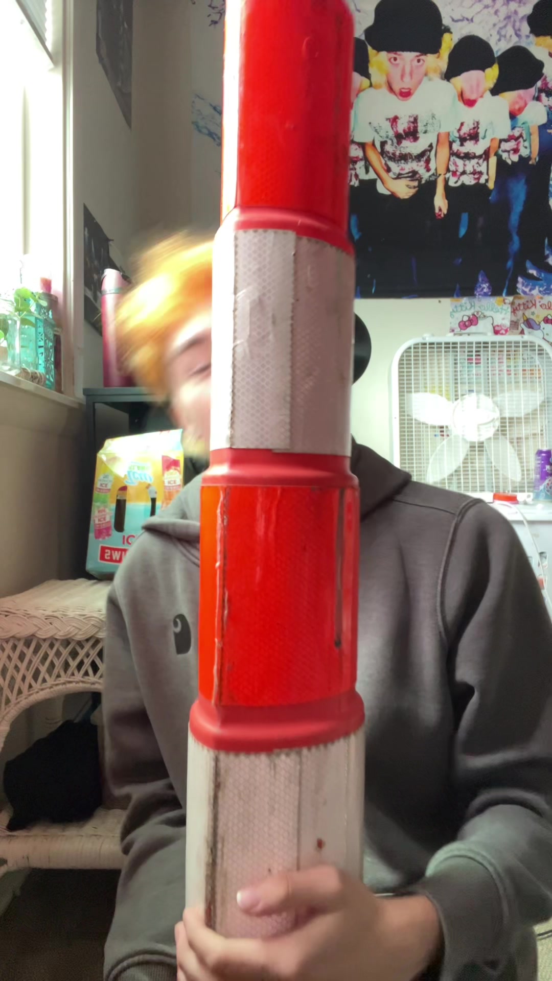 @DVS1225