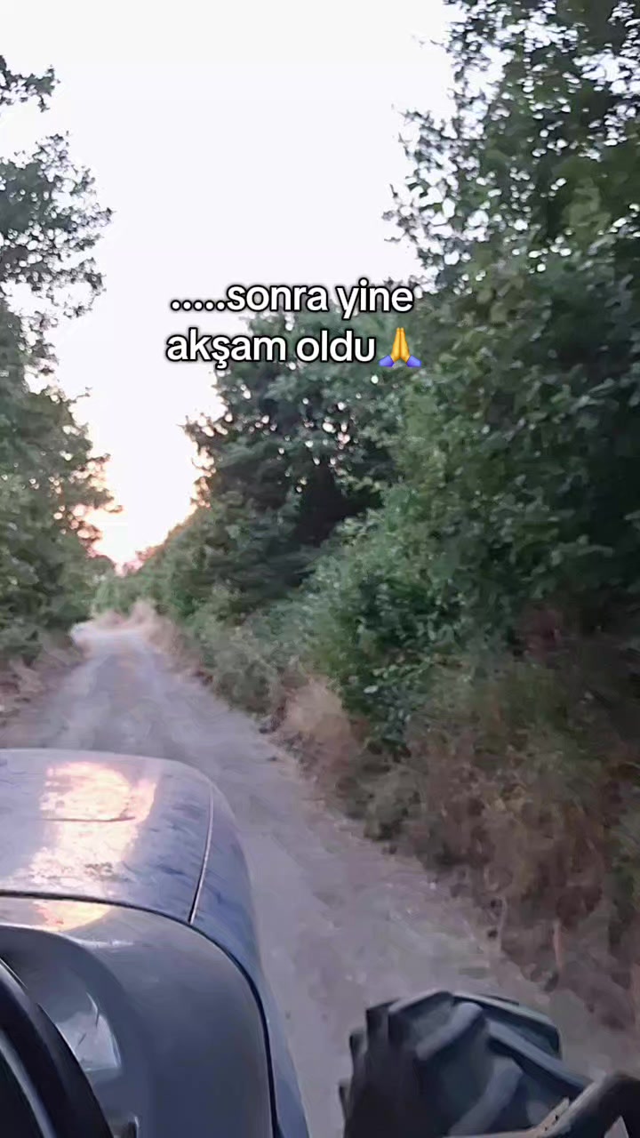 @Serap ince &ccedil;iftliği