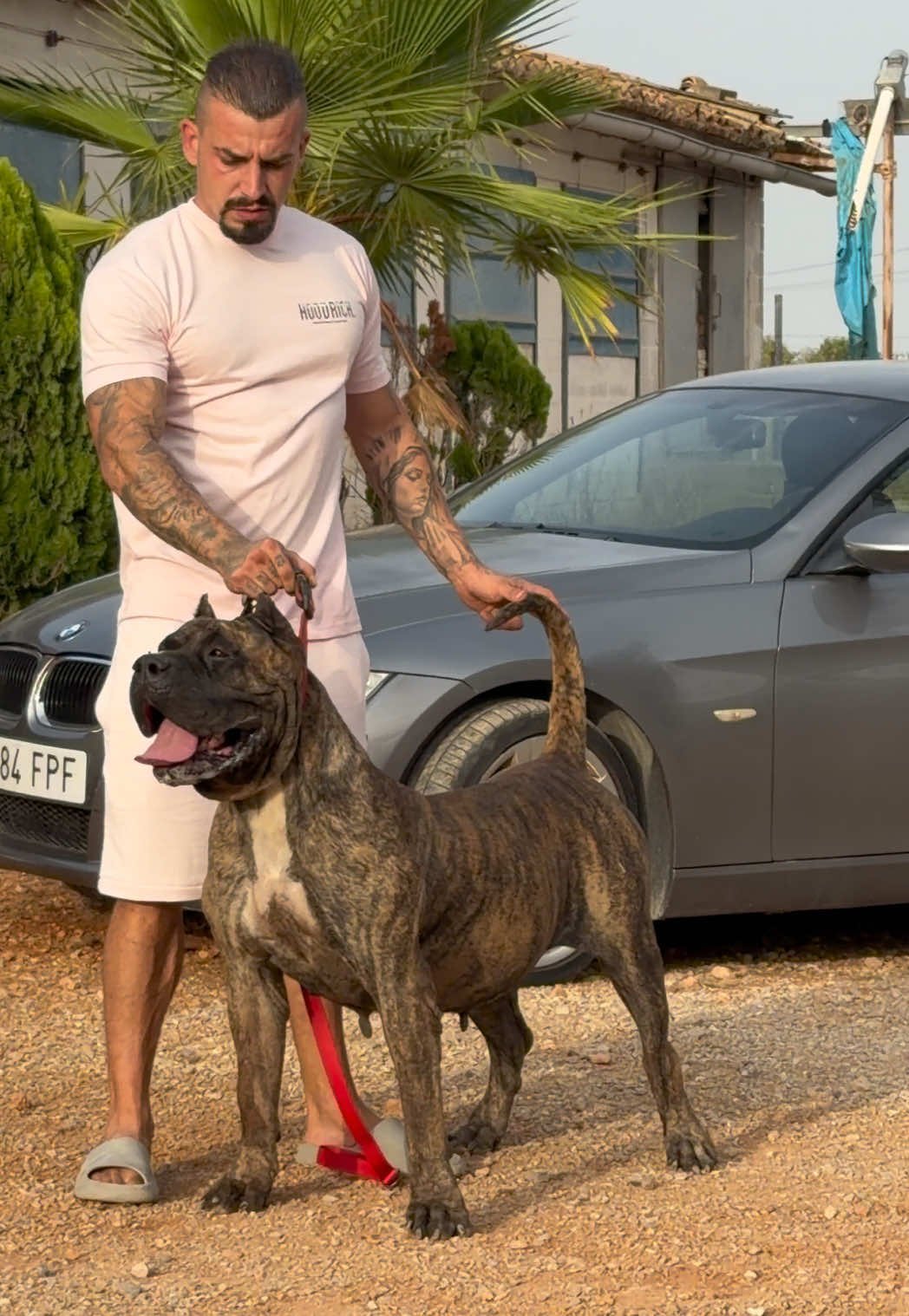 @Alberto Presa Canario Sanz