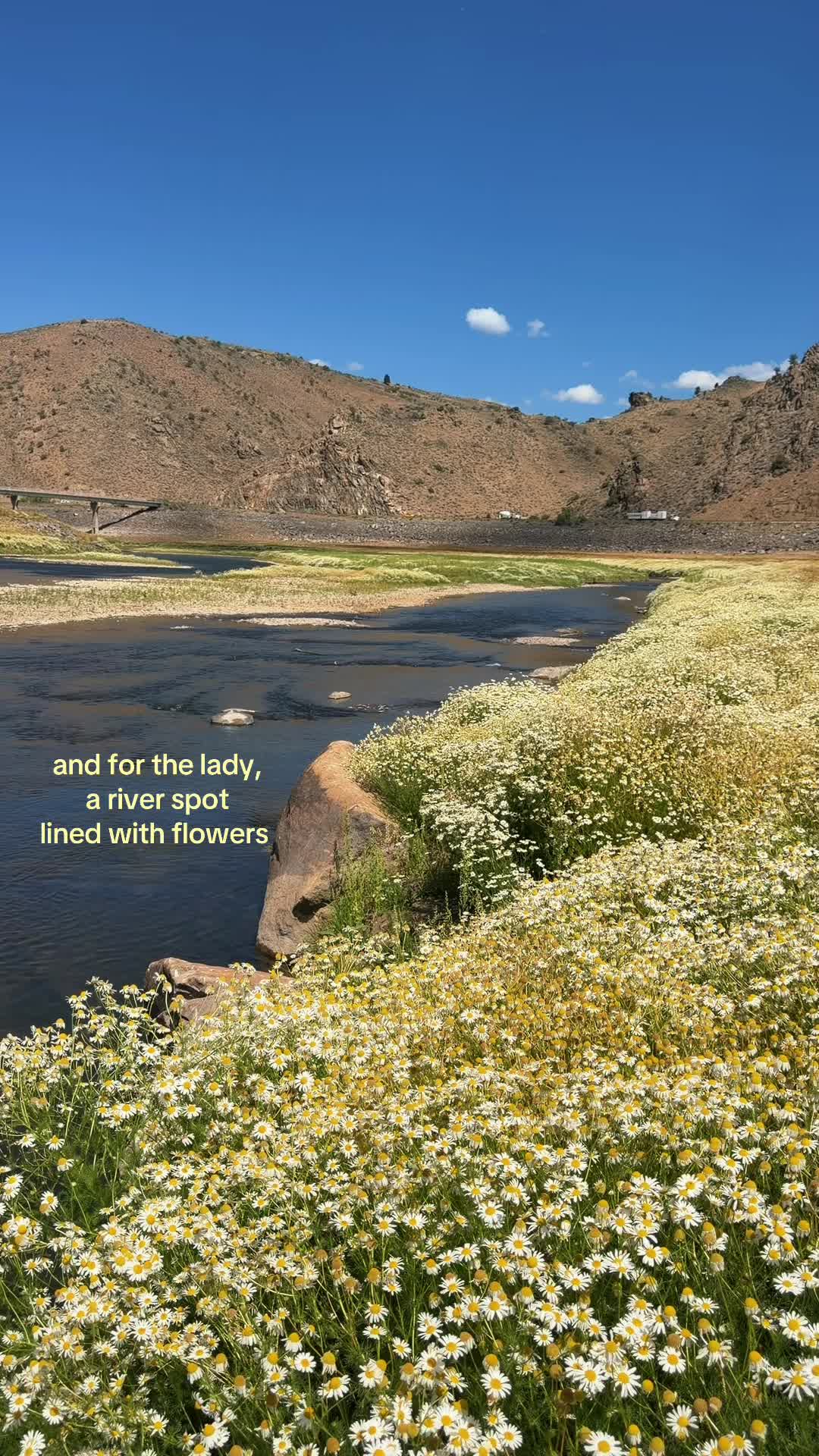 @𝓪𝓼𝓱𝓵𝓮𝓮 𖦹⋆ ˚｡✮ ⋆｡&deg; ☮︎
