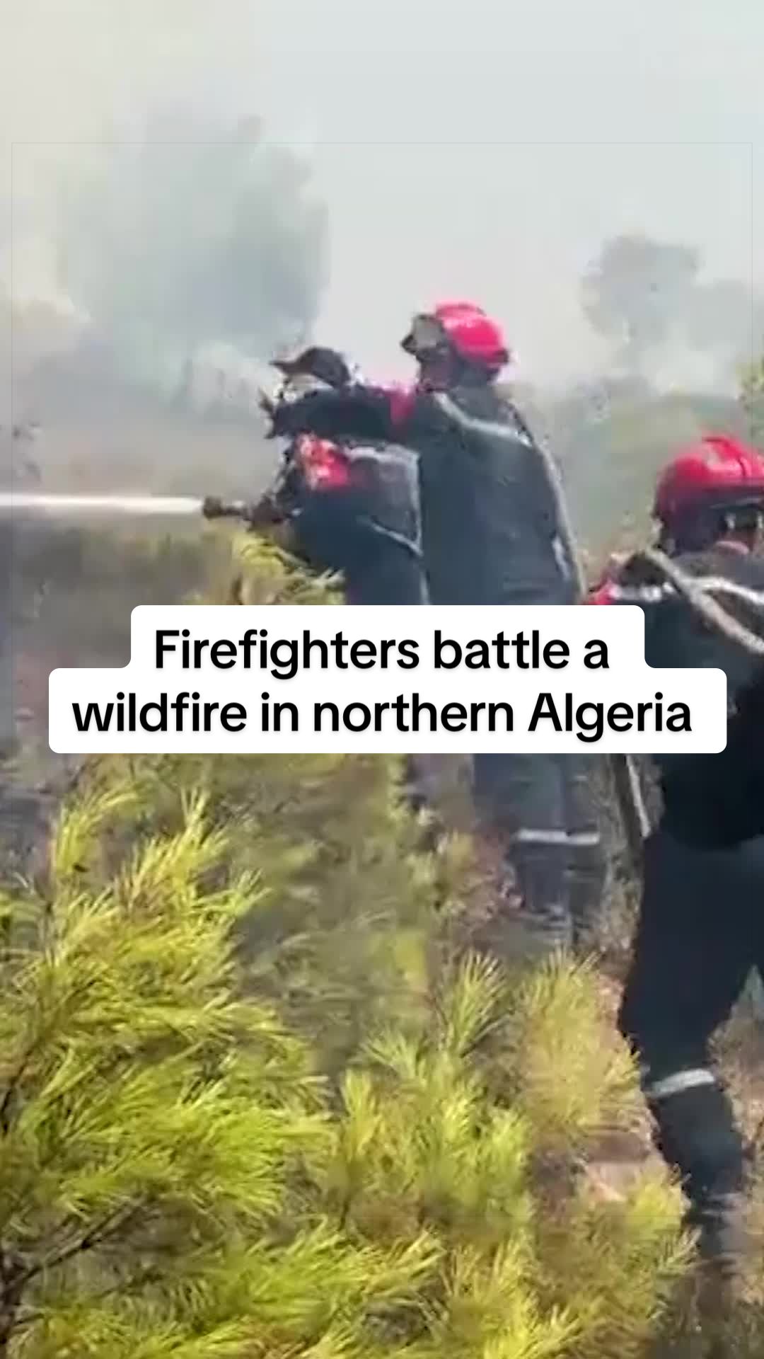 @Reuters