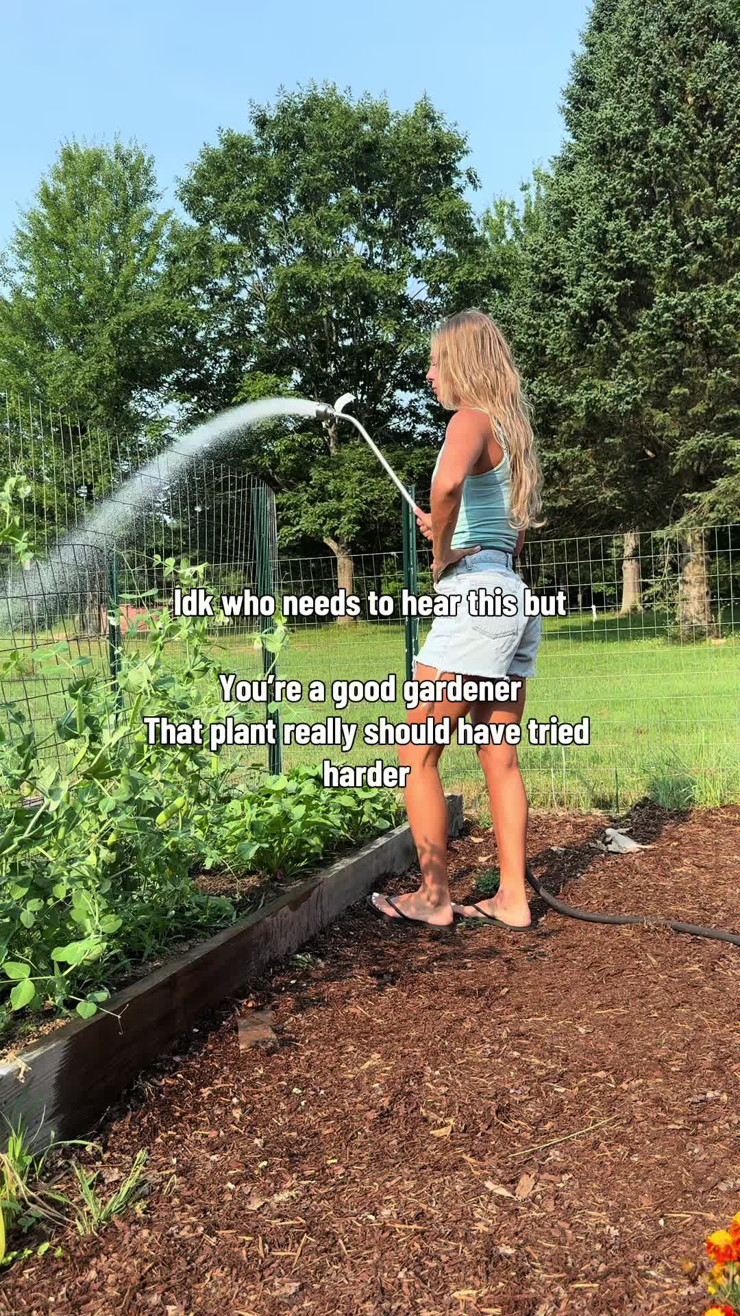 @MORGANH