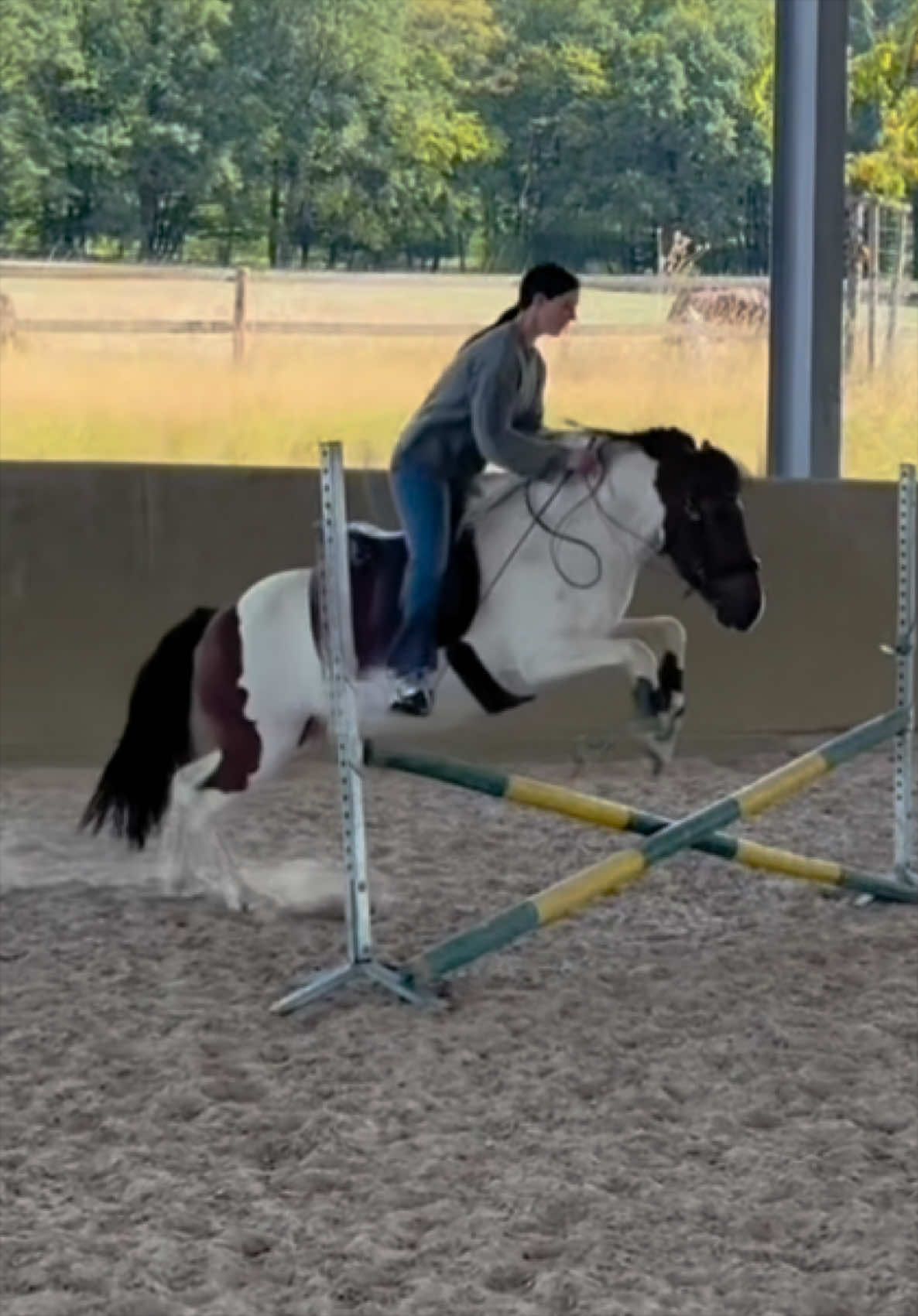 @annalisa.equestrian