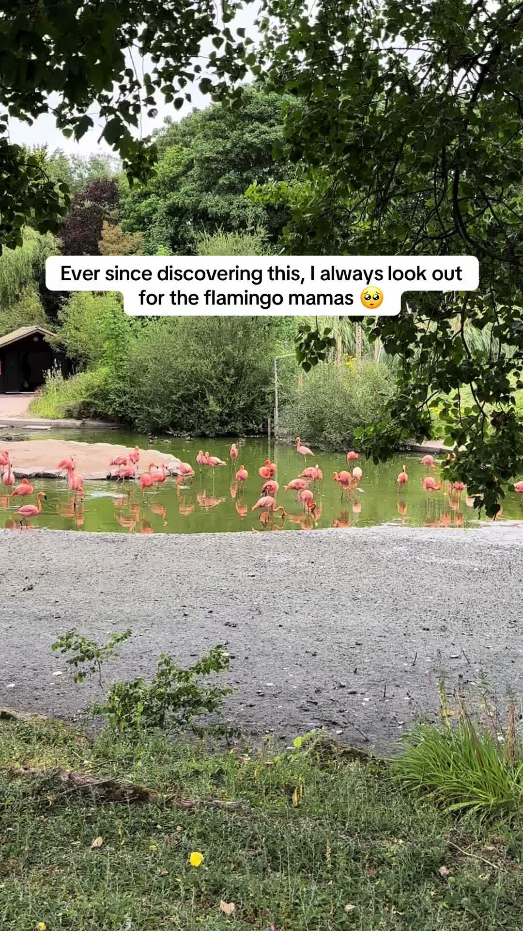 @Georgia Passey