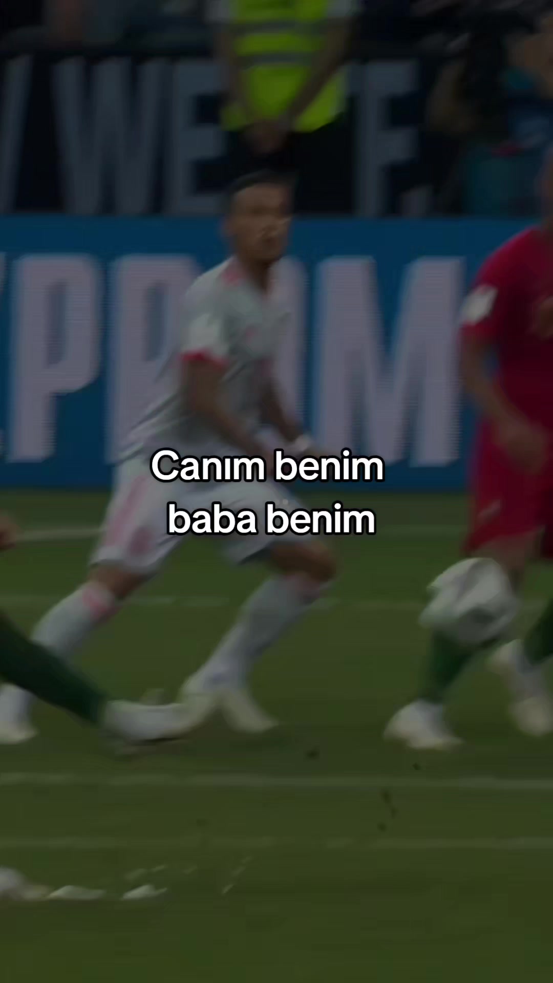 @asaf buny:23