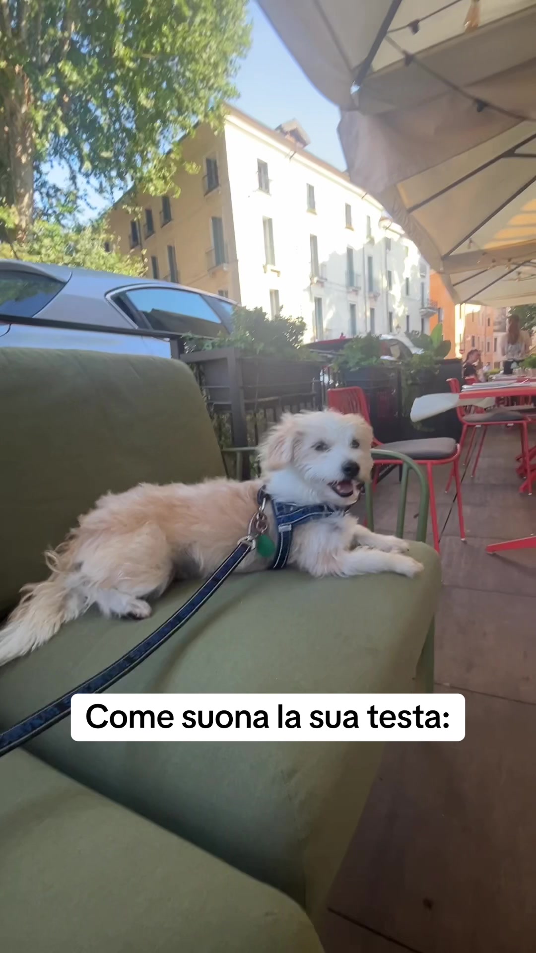 @Marta Basso