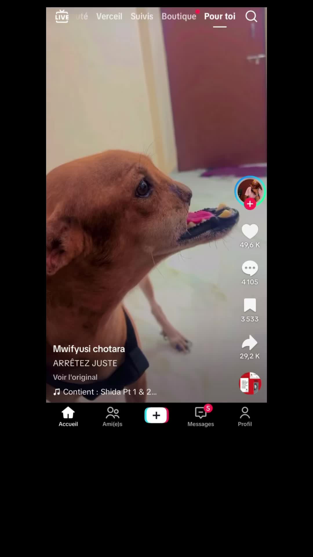 @Reactofun237 🇨🇲🇮🇹