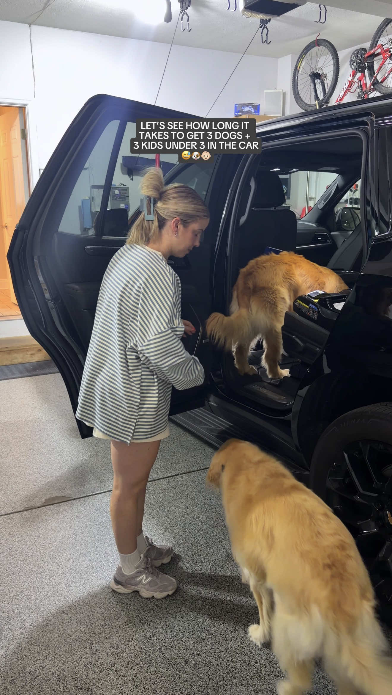 @agoldendogmom