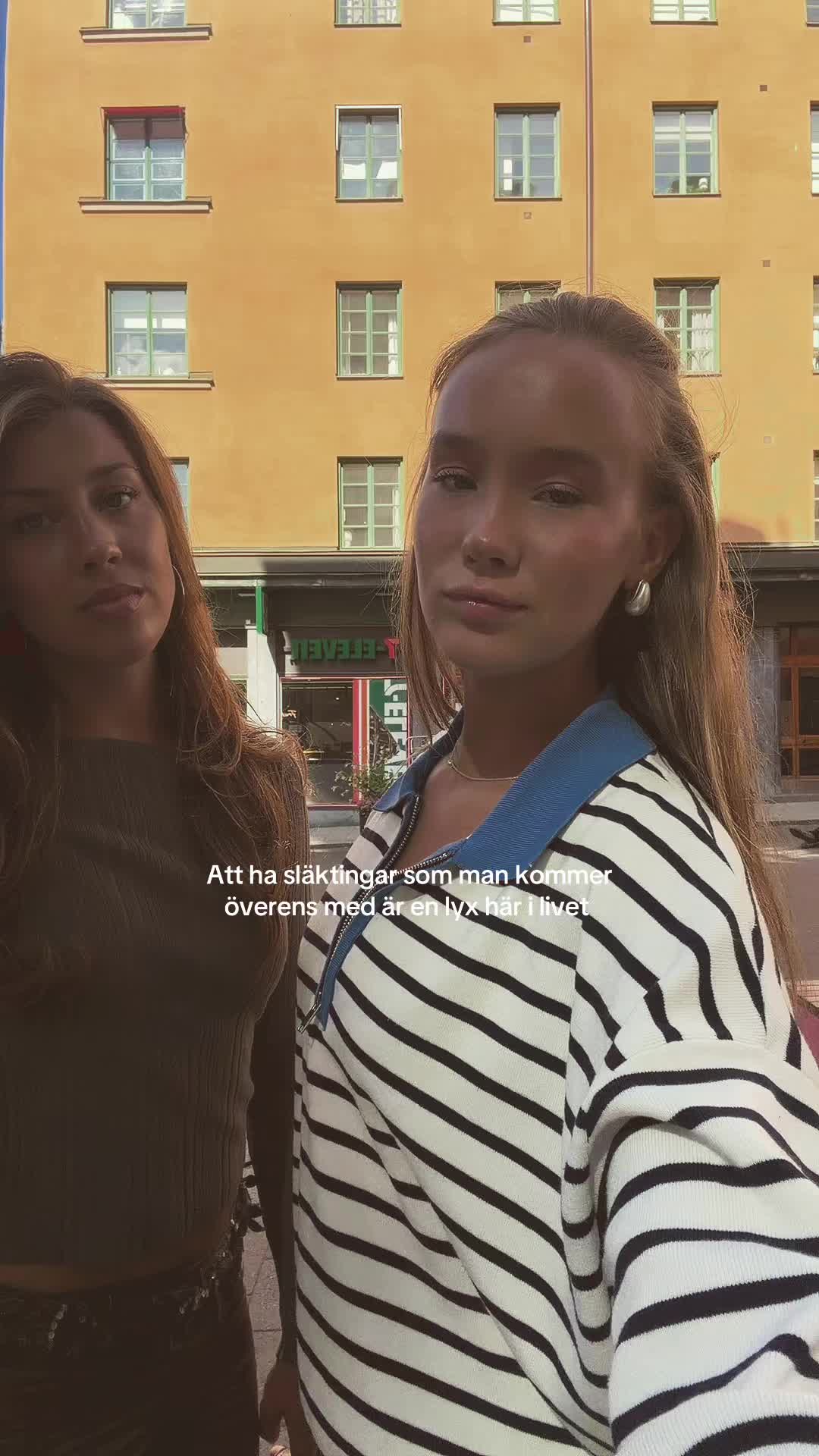 @H&auml;stvig