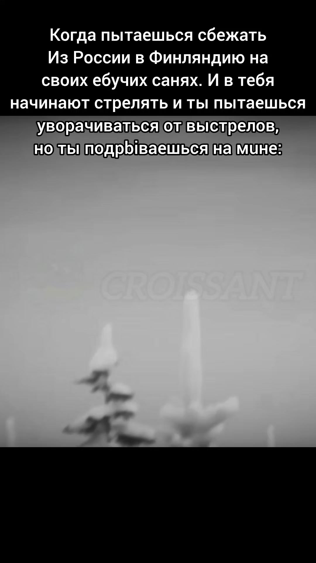 @Croissant (CRST)