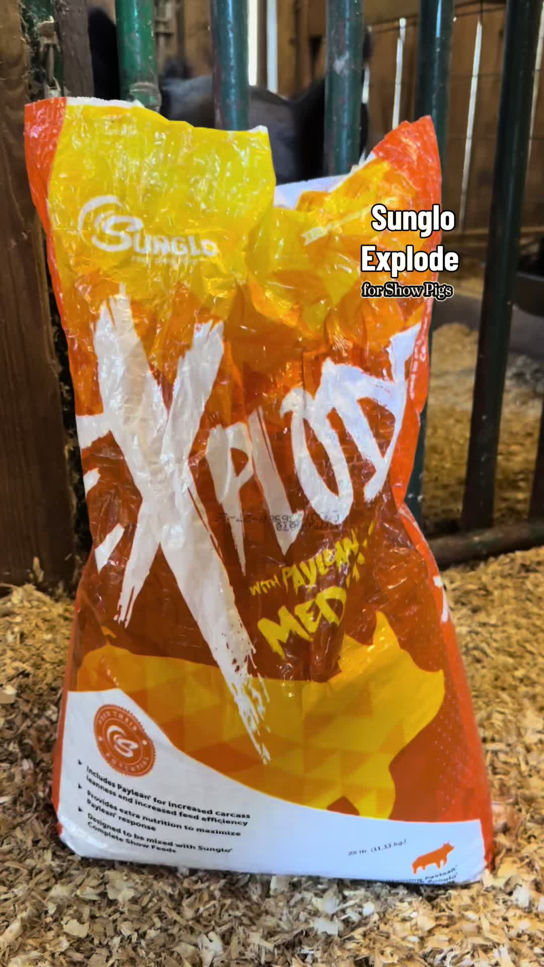 @Lex | Mom Finds + Travel