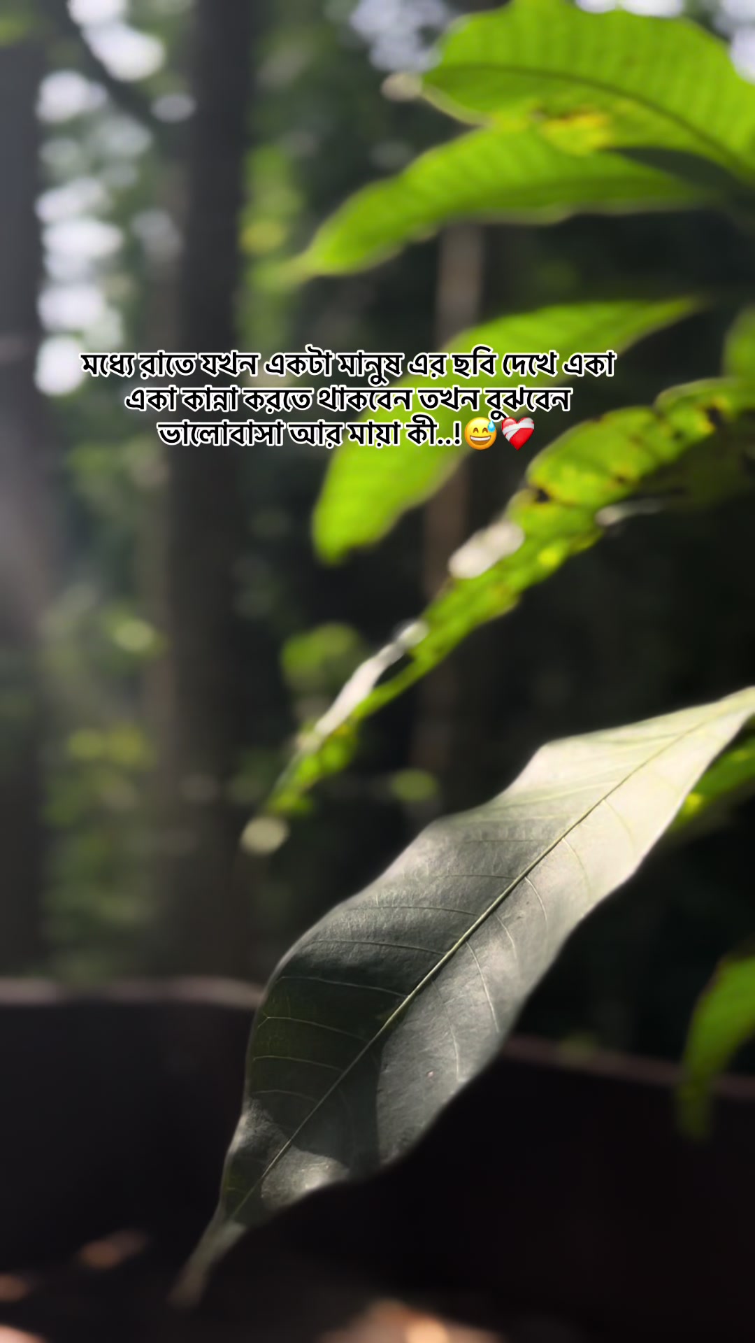@S_A_Y_M_O_N🥰SAMMIHA🥰
