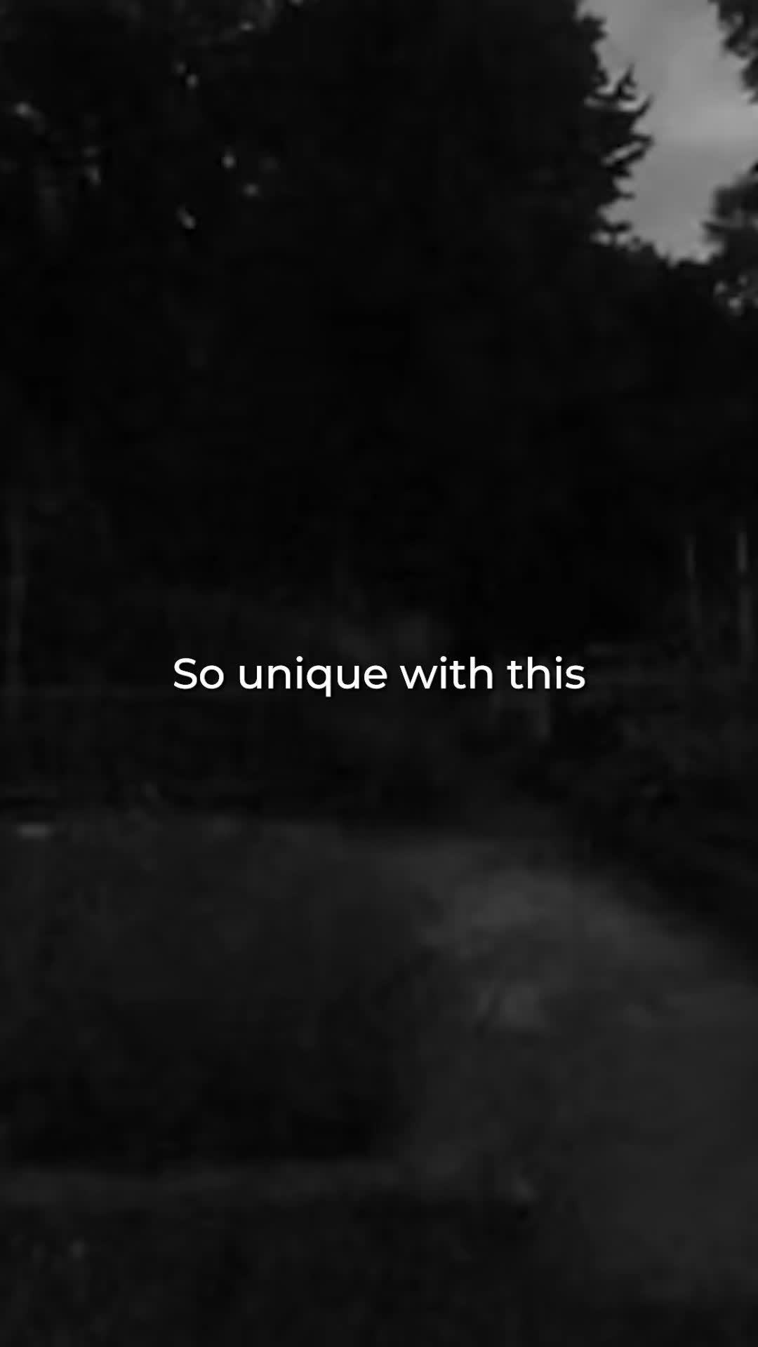@NF Lyrics