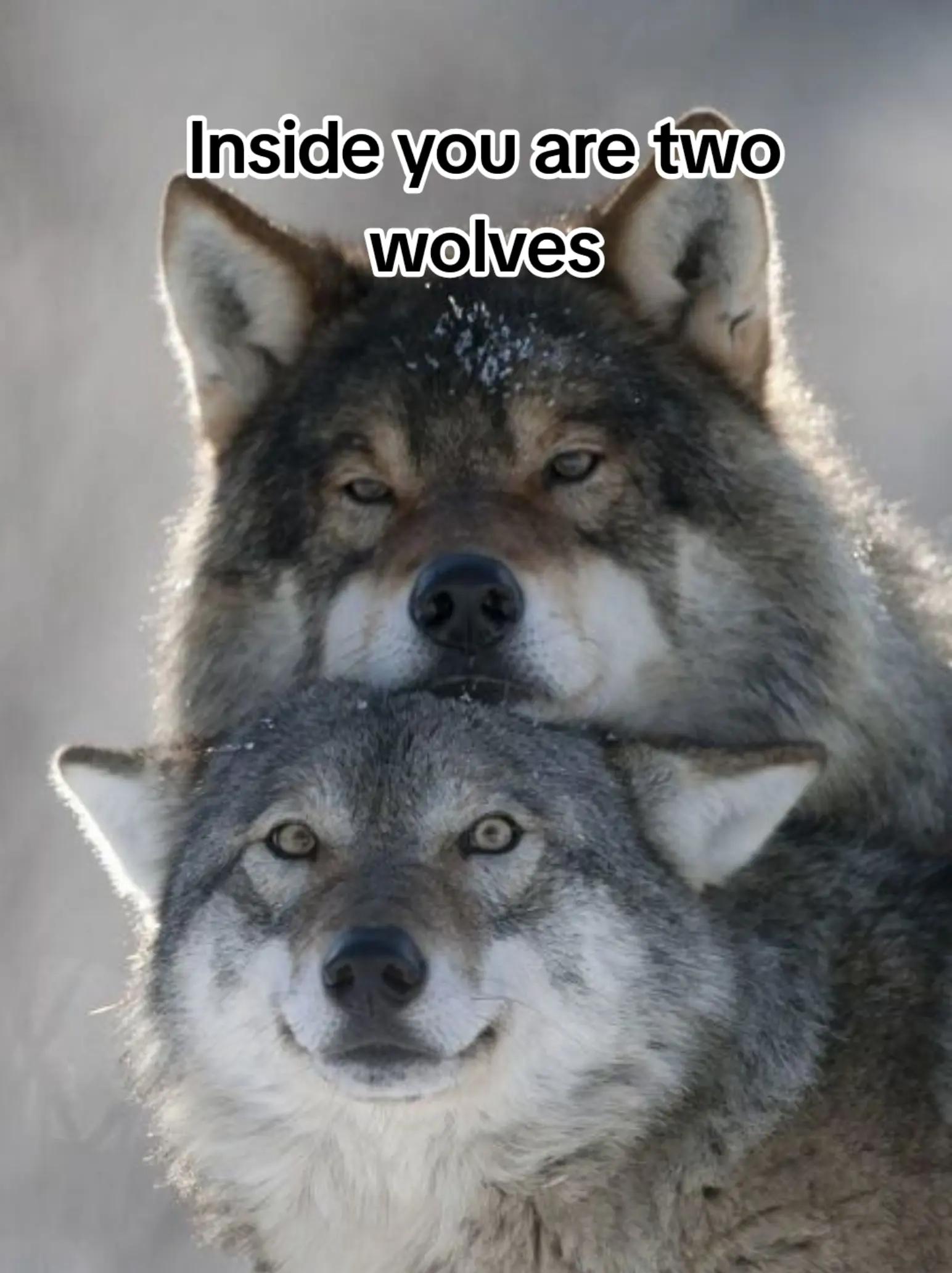 @Draugr Virduligr
