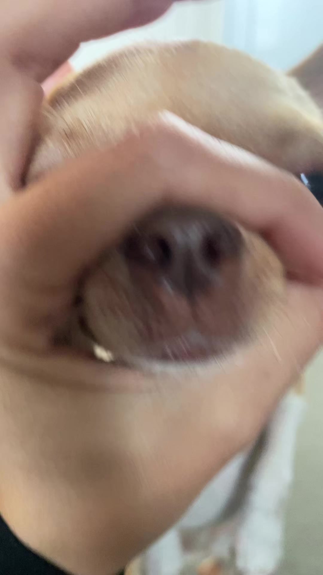 @lilgroponys