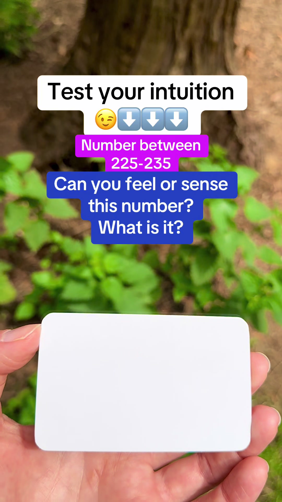 @Lia