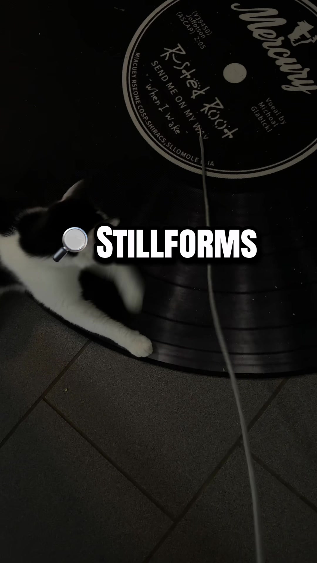 @STILLFORMS