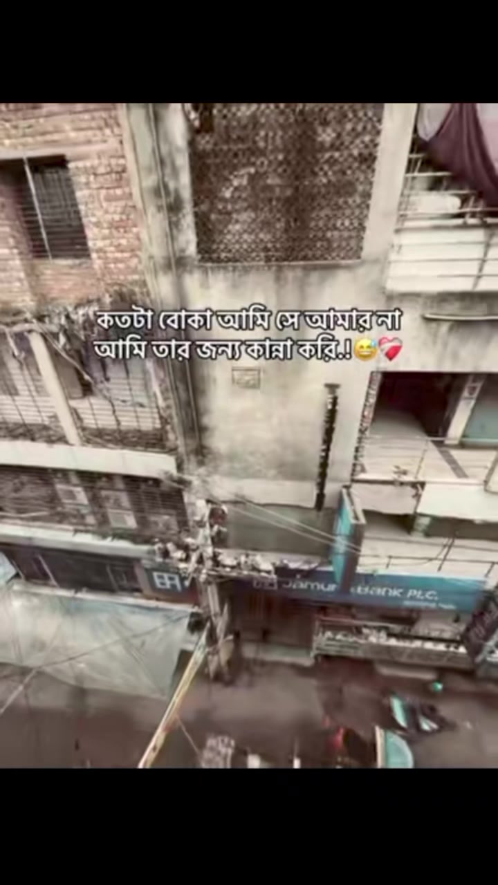 @💫🥀 ⊶N⊶O⊶Y⊶O⊶N⊶🥀💫