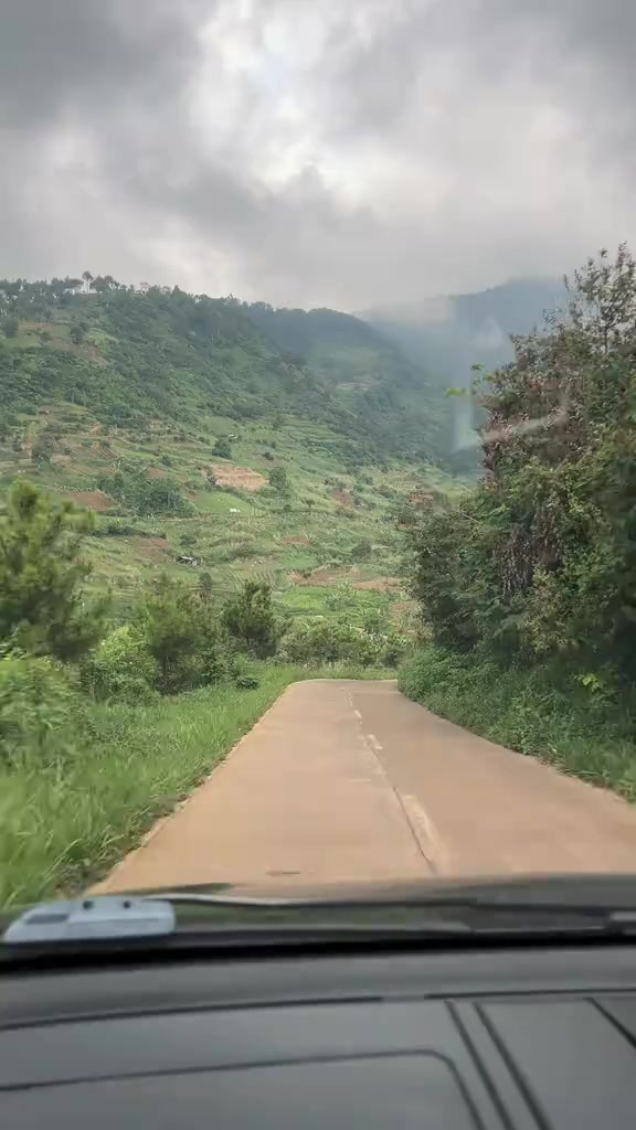 @davidAvnza