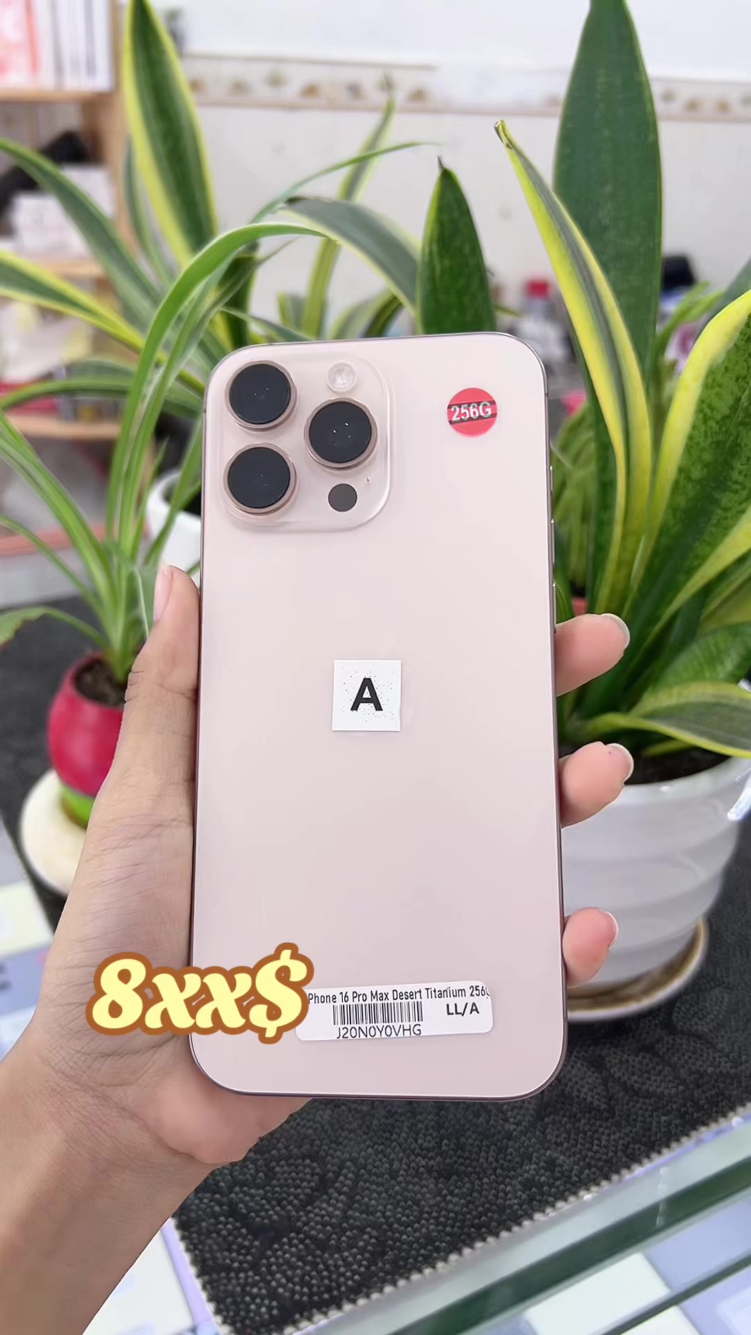 @គ្នាយើង
