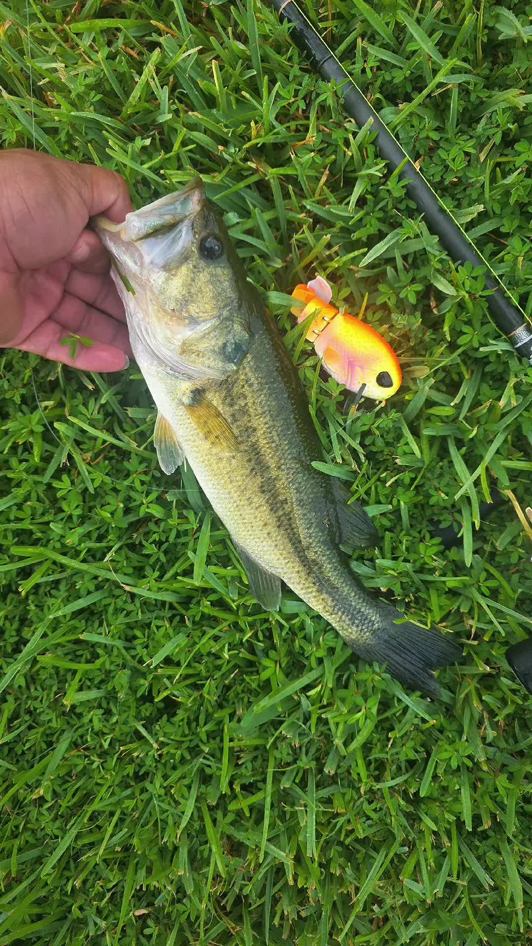 @FishingwithJairo