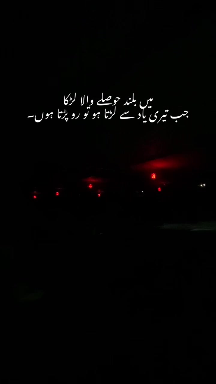 @🕊️